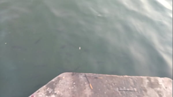 वेरीफ़िकेशन विडियो