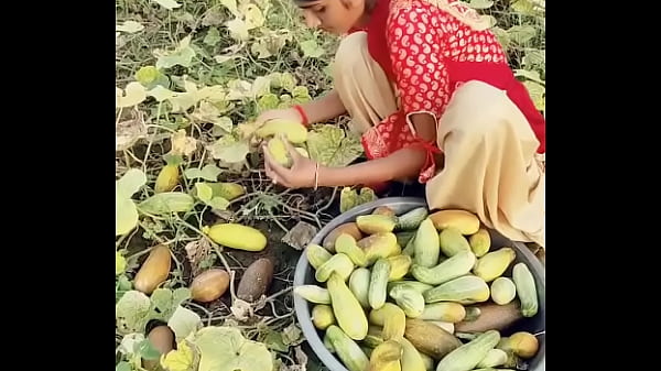 वेरीफ़िकेशन विडियो