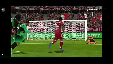 Papeo y detono a crazed fish cat