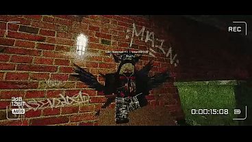 V&iacute_deo de verificaci&oacute_n