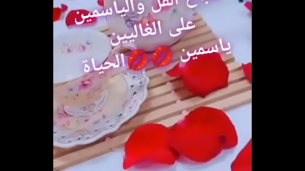 فيديو التحقق