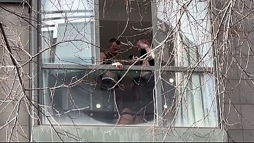 Cuarteto sin l&iacute_mites