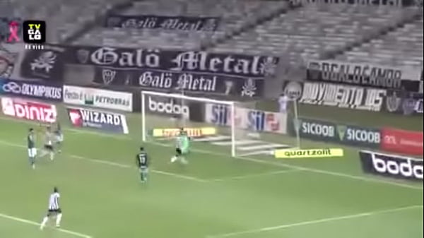 CRUZAMENTO DO KENO PRO NATHAN ATL&Eacute_TICO X GOI&Aacute_S